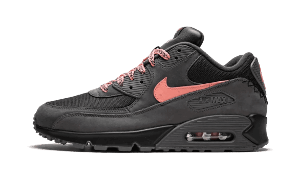 Nike Air Max 90 Sido B Fyller På